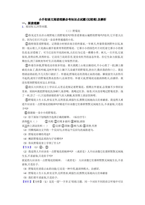 小升初语文阅读理解必考知识点试题(比较难)及解析