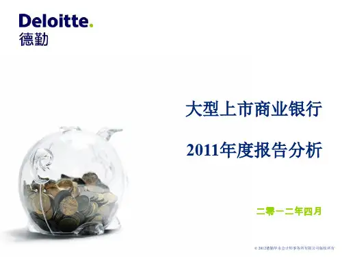 大型上市商业银行报告分析(赵耀)