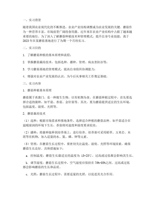 蘑菇基地实习报告
