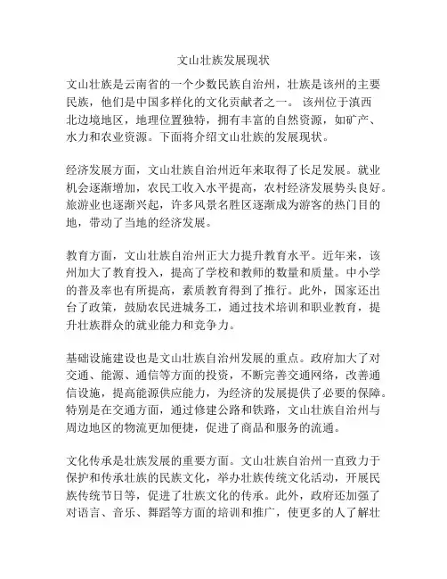 文山壮族发展现状
