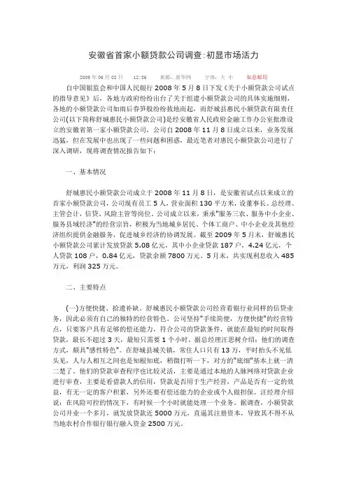 安徽省首家小额贷款公司调查
