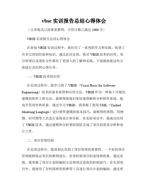 vbse实训报告总结心得体会
