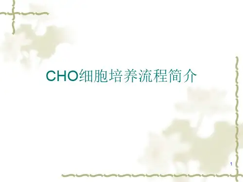 CHO细胞大规模悬浮培养流程简介ppt课件