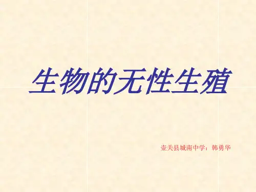 初中生物八年级下册《第一节生物的无性生殖》PPT课件
