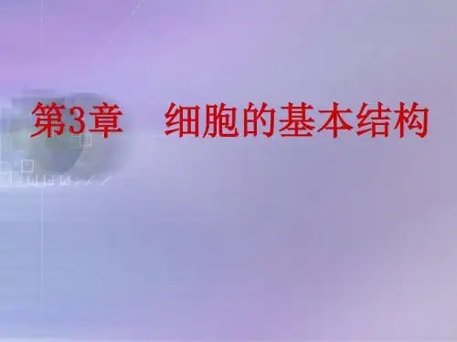 人教版  高一上学期生物必修一课件：3.1 细胞膜——系统的边界(共22张ppt)(共22张PPT)