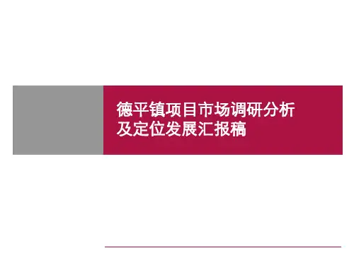 德平镇项目市场调研分析及定位发展汇报稿