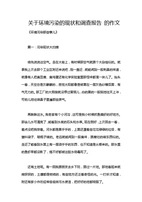 关于环境污染的现状和调查报告 的作文