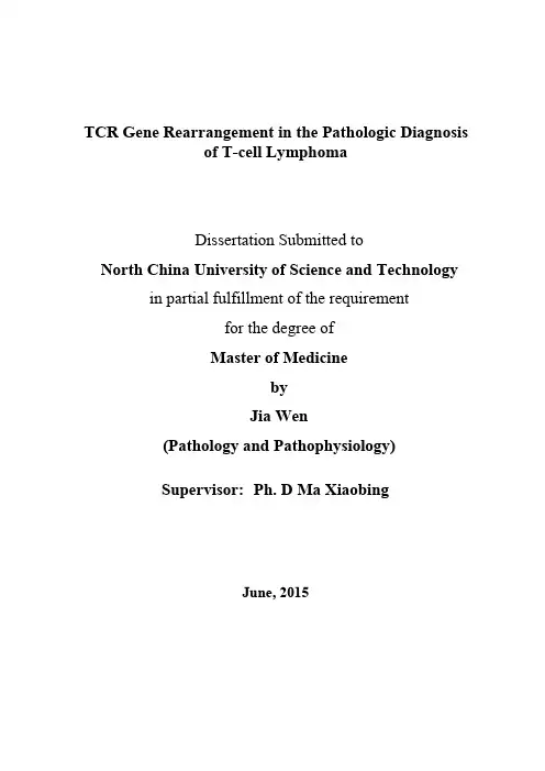 TCR基因重排检测在T细胞淋巴瘤病理诊断中的作用