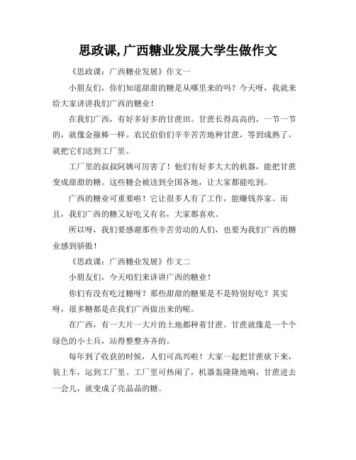 思政课,广西糖业发展大学生做作文
