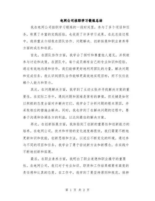 电网公司挂职学习锻炼总结