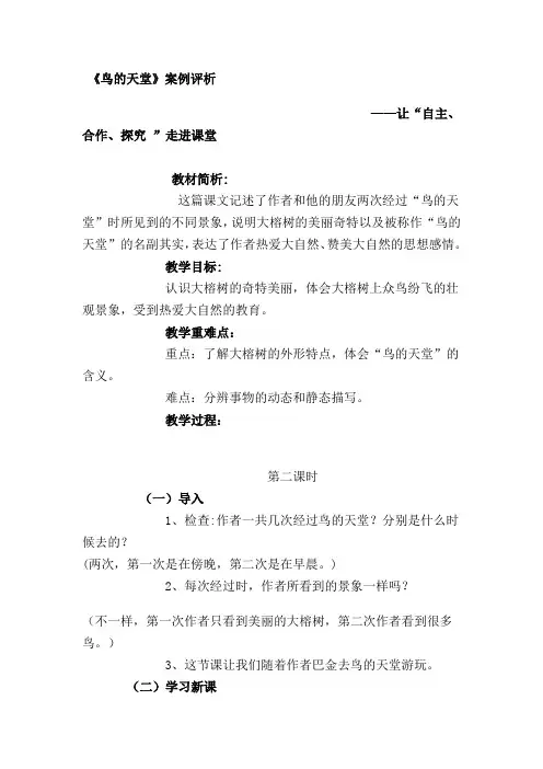 鸟的天堂