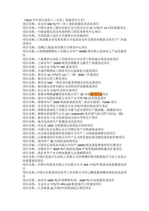 2013年中国石油化工(石化)新建项目大全