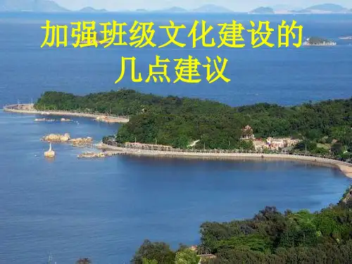班级文化建设的几点建议