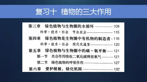 中考复习：植物的三大作用复习课件