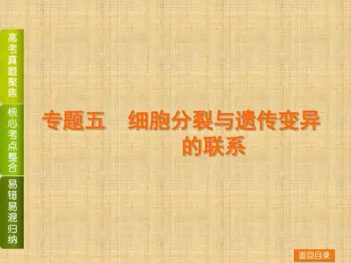 高考生物二轮复习(高考真题聚焦+核心考点整合+易错易混归纳)专题五 细胞分裂与遗传变异的联系名师优质课