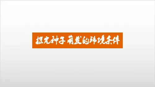 七年级生物上探究种子萌发的环境条件课件 【人教版】PPT实用课件