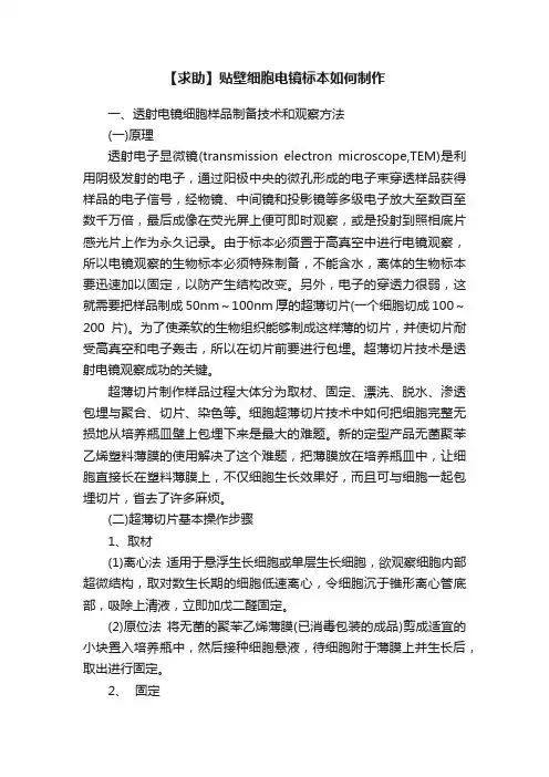 【求助】贴壁细胞电镜标本如何制作