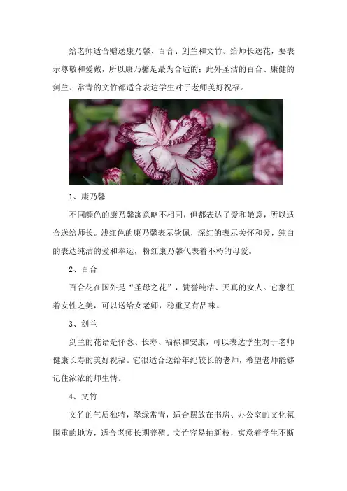 给老师送花送什么花