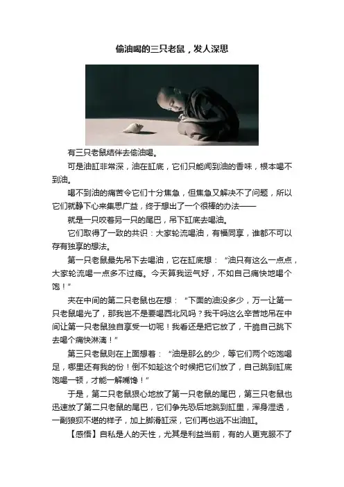 偷油喝的三只老鼠，发人深思