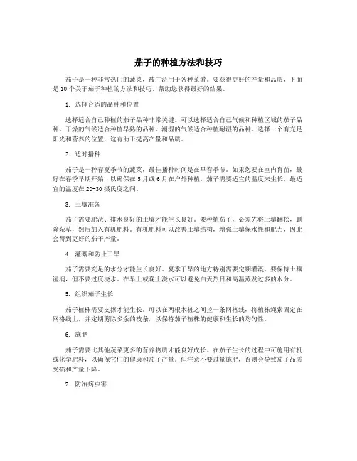 茄子的种植方法和技巧