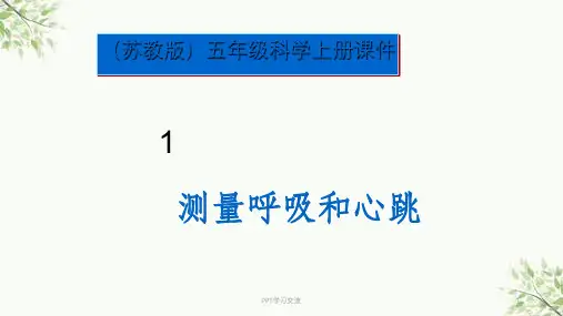 测量呼吸和心跳课件