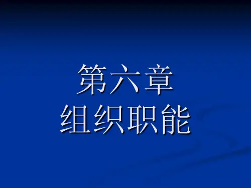 管理学基础第六章