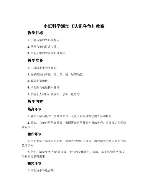 小班科学活动《认识乌龟》教案