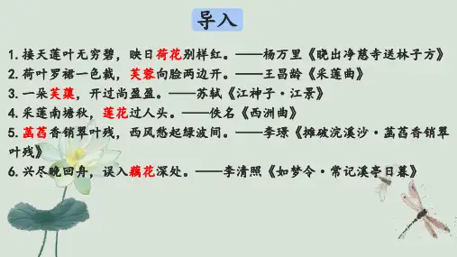 古诗词诵读《涉江采芙蓉》ppt课件
