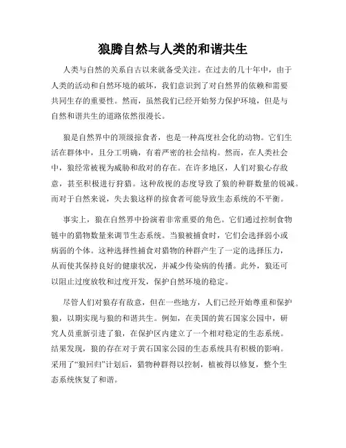 狼腾自然与人类的和谐共生