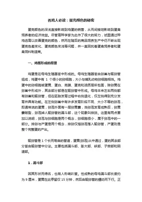 养鸡人必读：蛋壳颜色的秘密