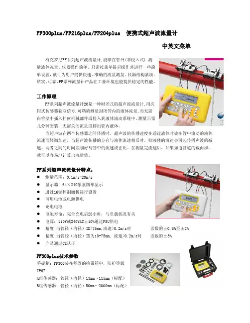 PF300-216-204PLUS流量计