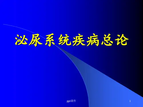 《内科学》泌尿系统疾病总论  ppt课件