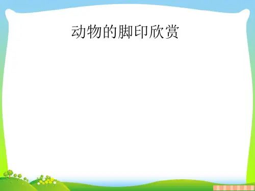 人教版二年级美术：动物的脚印欣赏-素材.ppt