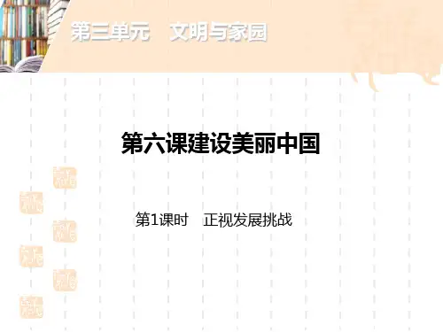 九年级道德与法治上册 《建设美丽中国》文明与家园PPT(第1课时正视发展挑战) 
