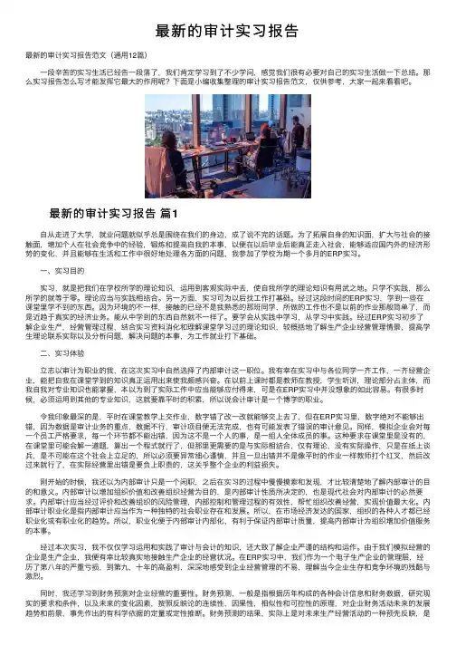 最新的审计实习报告