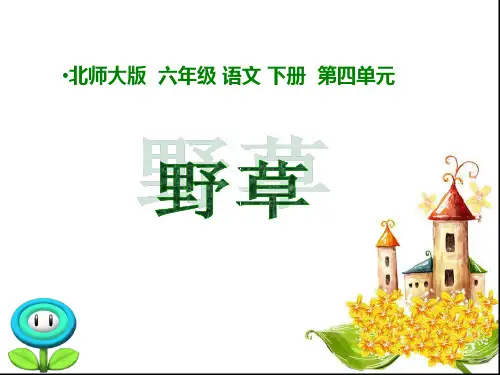 《野草》PPT课件