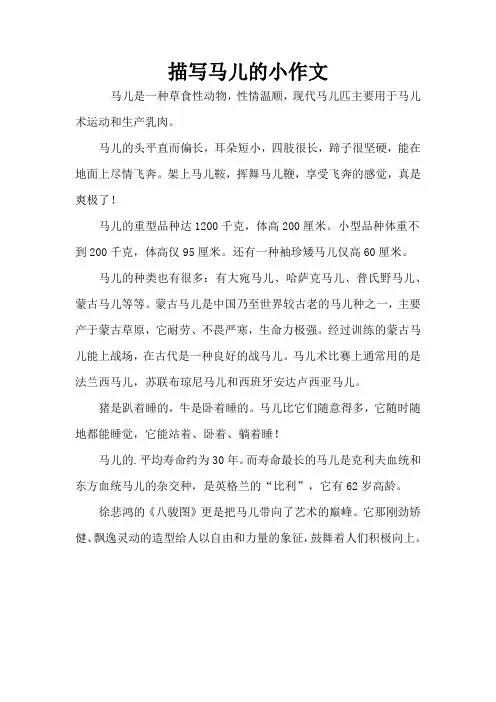 描写马儿的小作文
