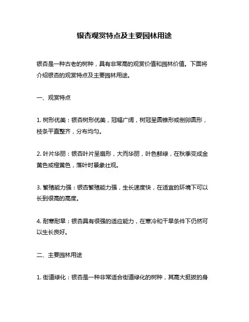银杏观赏特点及主要园林用途