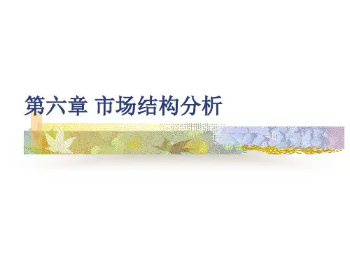 管理经济学—7市场结构