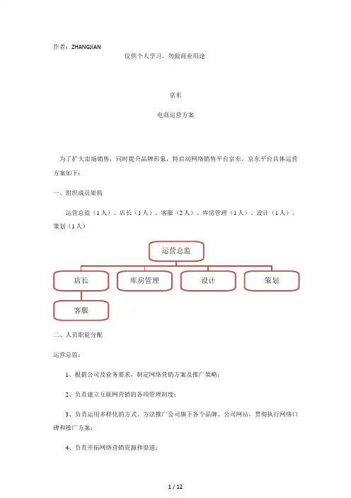 京东电商运营方案[页]