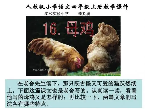 人教版四年级上册语文16《母鸡》(李期绣)