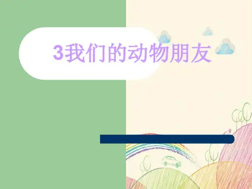 我们的动物朋友ppt 图文