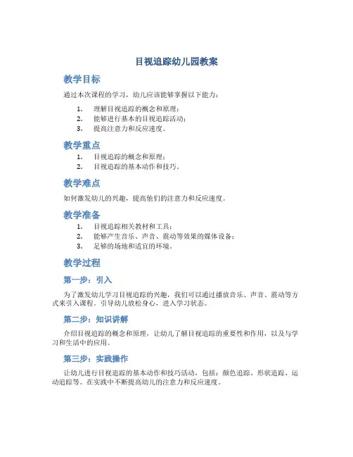 目视追踪幼儿园教案