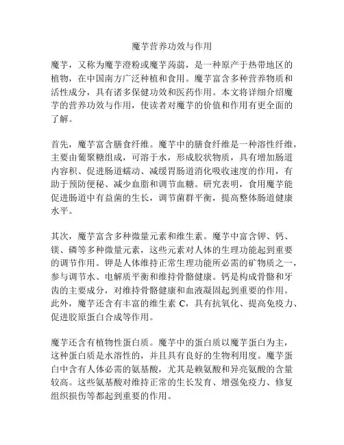 魔芋营养功效与作用