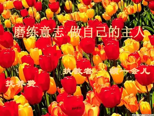 《磨练意志》主题班会  ppt课件