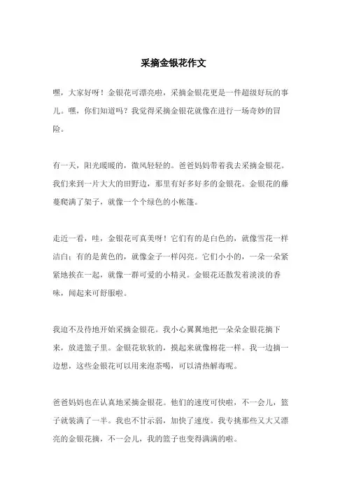 采摘金银花作文