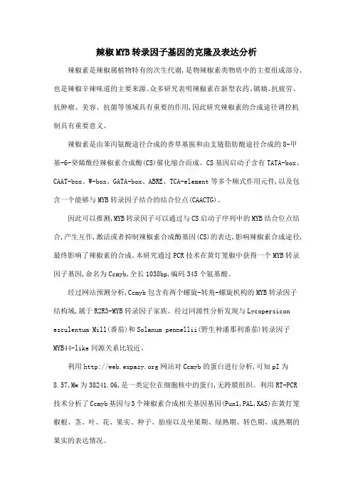 辣椒MYB转录因子基因的克隆及表达分析