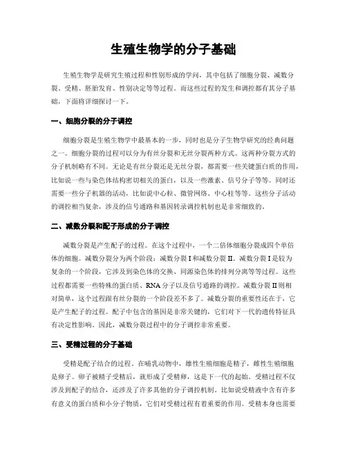 生殖生物学的分子基础