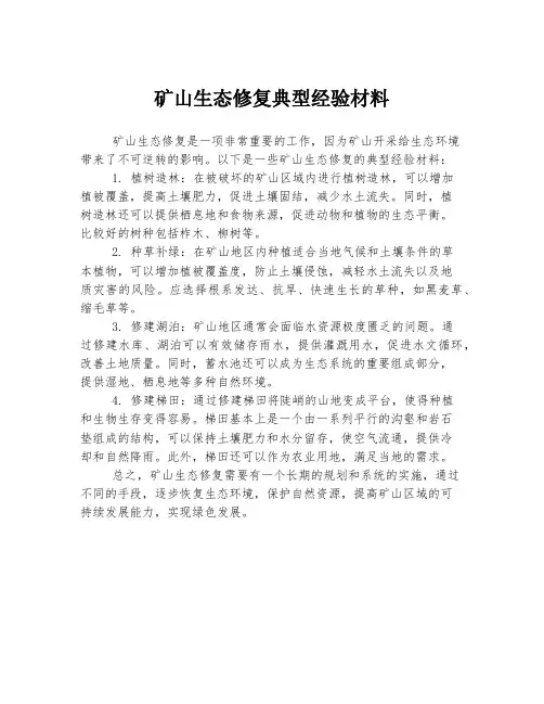 矿山生态修复典型经验材料