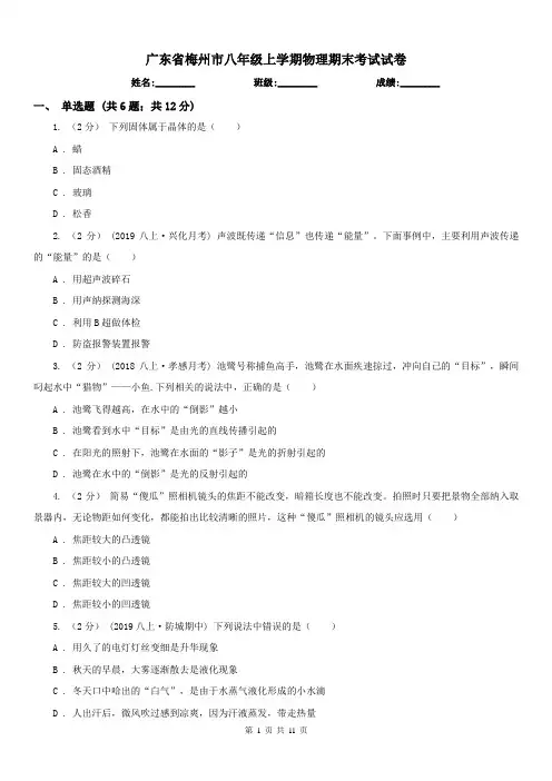 广东省梅州市八年级上学期物理期末考试试卷